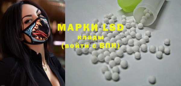 ПСИЛОЦИБИНОВЫЕ ГРИБЫ Баксан